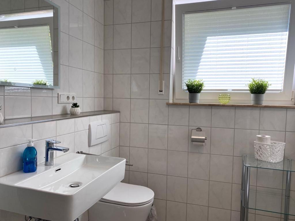 Ferienwohnung Bussmann Willingen  Extérieur photo